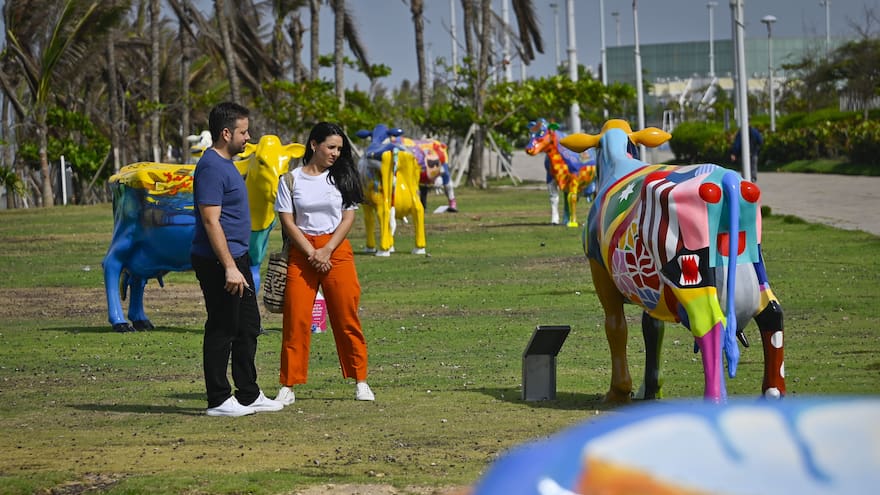 ‘Vacasquilla’, la exposición a cielo abierto más grande de la Barranquilla