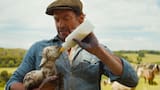 Hugh Jackman llega a los cines con ‘Las ovejas detectives’