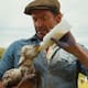 Hugh Jackman llega a los cines con ‘Las ovejas detectives’
