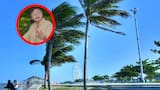 En medio de la ola de calor, Petro critica a Barranquilla por sembrar palmeras ‘para parecerse a Miami’; le recuerdan que fue obra de sus “amigos”