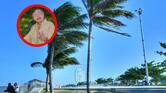 En medio de la ola de calor, Petro critica a Barranquilla por sembrar palmeras “para parecerse a Miami”; le recuerdan que fue obra de sus “amigos”
