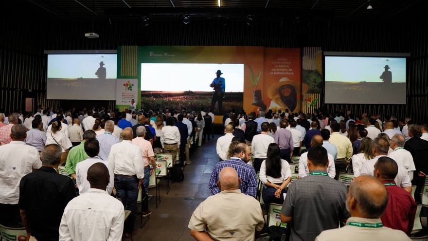 Seguridad e ilegalidad, entre las preocupaciones del sector palmicultor