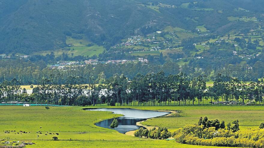 Guardabosques: una labor silenciosa pero vital para la biodiversidad colombiana