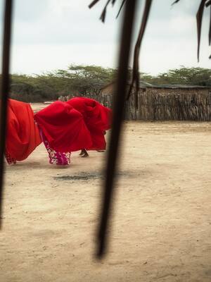 El posible reverdecer de La Guajira| columna de Álvaro López Peralta