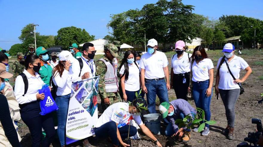 Donan 1.337 árboles en jornada de siembra en Malambo