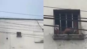 ¿Internos de la Cárcel La Modelo estaban grabando el desfile en la Vía 40? Esto es lo que se sabe