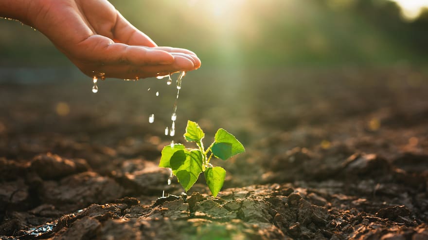 Innovación en Tecnología Ambiental | Columna de Javier Fernández
