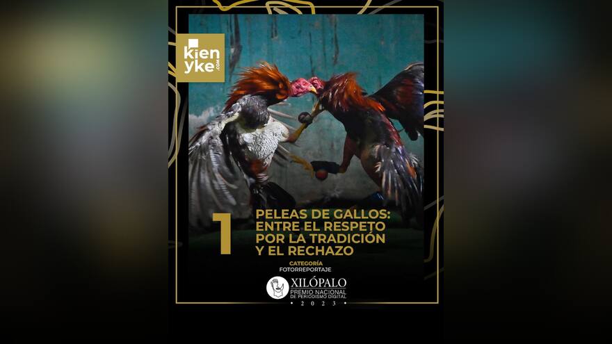 EL HERALDO recibe primer lugar en categoría Fotorreportaje de premio Xilópalo