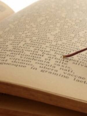 Frases desconectadas