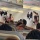 Perro gran danés se robó la atención durante un vuelo y el video se volvió viral