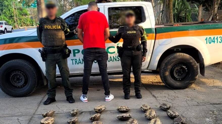 Detienen en vías de Córdoba a un hombre que transportaba 30 hicoteas