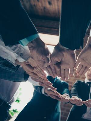 Una vaca púrpura en Antioquia | Columna de Francisco Cuello Duarte