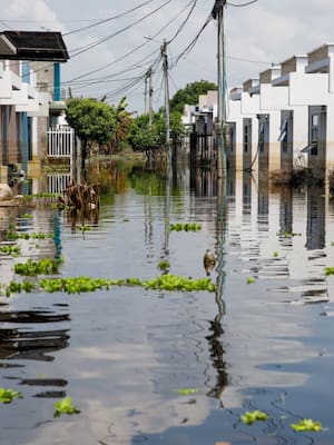 Solidaridad sostenida: el compromiso que Córdoba reclama