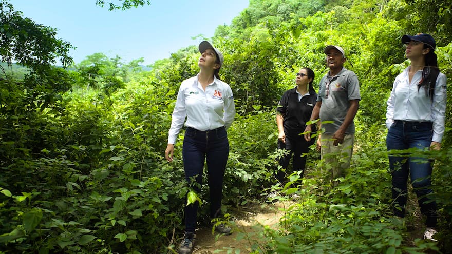 Estrategias de compensaciones ambientales