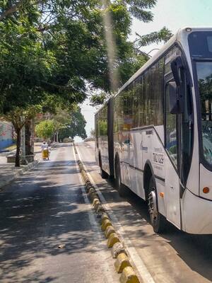 Diez años de Transmetro