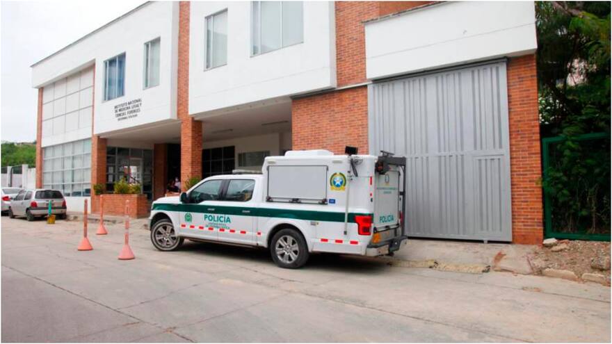 Agente del DATT muere al caer de un árbol de mango en su finca