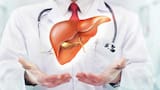 ¿Cuánto tarda el hígado en regenerarse? Esto dicen los expertos