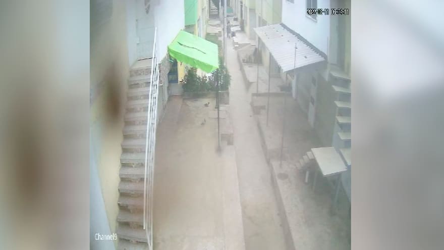 Denuncian maltrato animal: hombre asesina a un perro en Villas de San Pablo