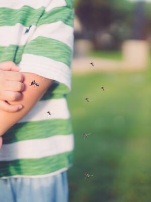 No todo es covid-19 | Columna de Álvaro Villanueva