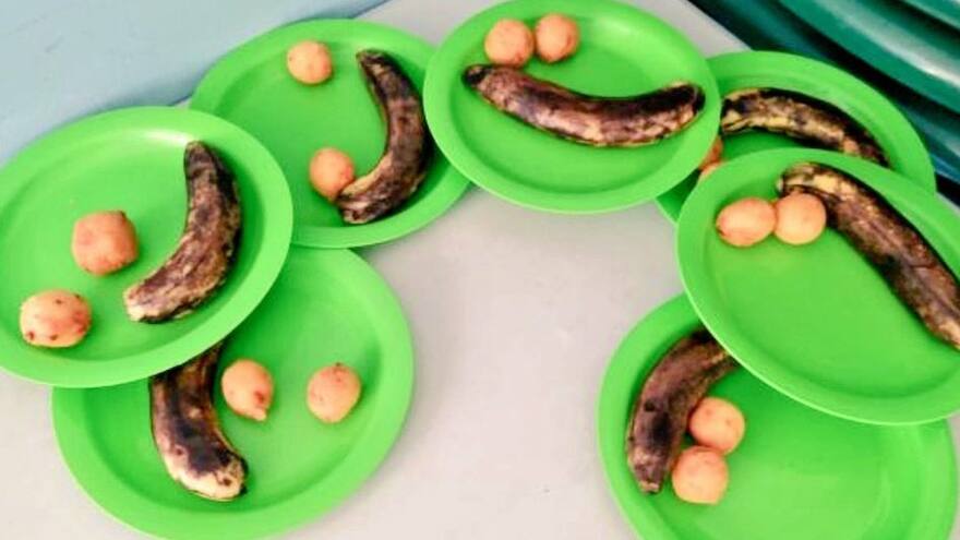 'Bananos entregados por el PAE estaban aptos para consumo'