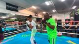 Ozuna se subió al ring con Mayweather