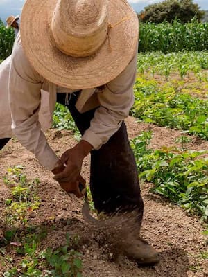 Injusticia agraria | Germán Vargas Lleras