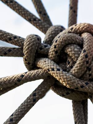 Arúspice y nudo gordiano, ahora bien | Columna de Enrique Dávila