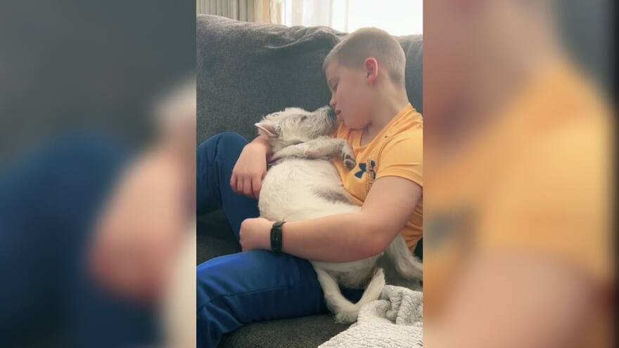 Video: Niño cantó Sky Full of Stars, de Coldplay, a su perro y conmovió a la agrupación británica