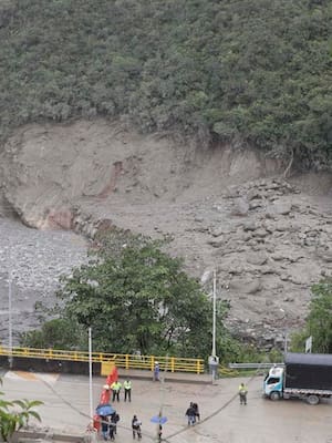¿La culpa es de la vaca o del toro?