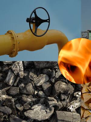 Fósiles: La ñapa de Dios | Columna de Ricardo Plata Cepeda