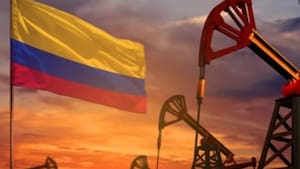 La crisis de los minerales