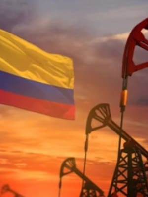 La crisis de los minerales