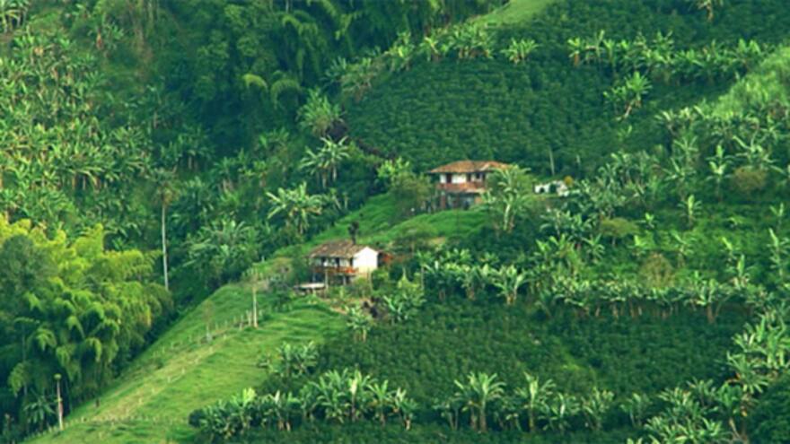 Paisaje cultural Cafetero: ejemplo de manejo turístico