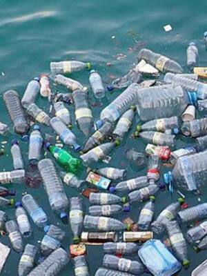 Llamado a la acción | Columna de Carlos Eduardo Correa