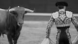Famoso torero español sufrió una cornada que le perforó el recto: “Es una herida muy compleja”