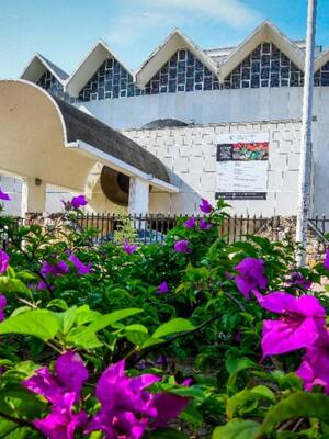 Ojalá, Amira | Columna de Alfredo Sabbagh Fajardo