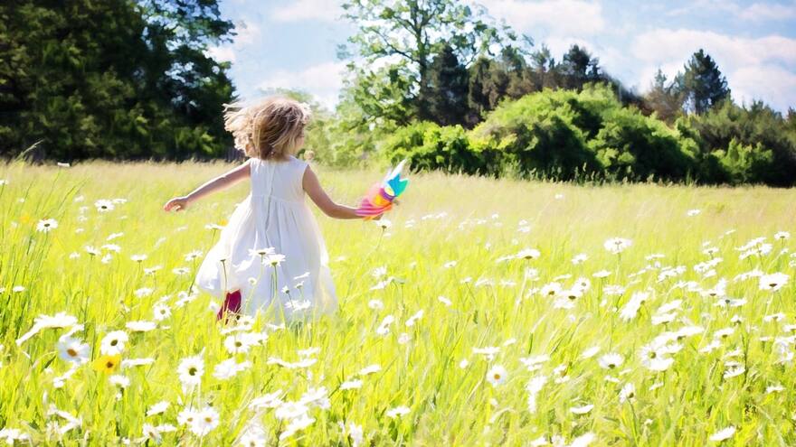 ¿Por qué el 20 de junio se celebra el Yellow Day como el día más feliz del año?