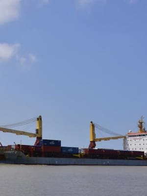 ¿Cuál manguera? | Columna de Manuel Fenández