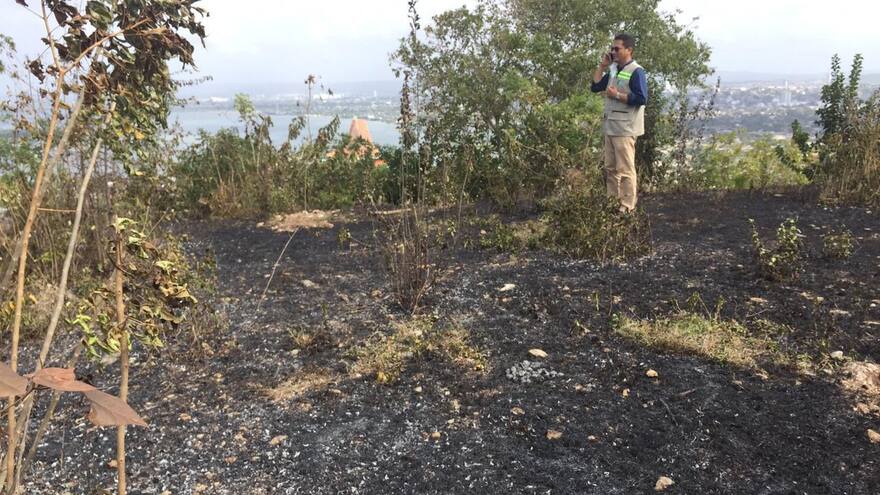 Denuncian la quema de árboles en La Popa, Cartagena