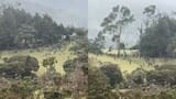 Cuatro muertos y más de 44 heridos tras enfrentamientos entre comunidades indígenas en el Cauca