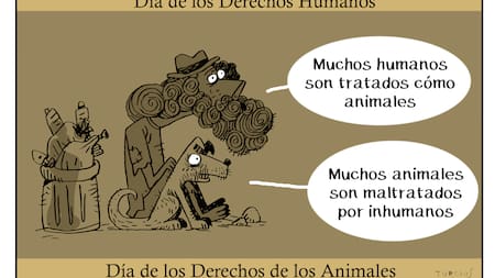 El mundo de Turcios