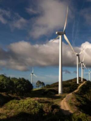 La transición energética| columna de Álvaro De la Espriella Arango