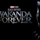 Black Panther: Wakanda Forever, ¿quién gana la guerra?