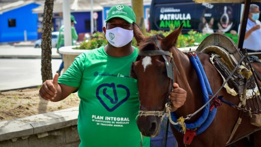 Proceso de sustitución de VTA ha impactado a 606 carromuleros