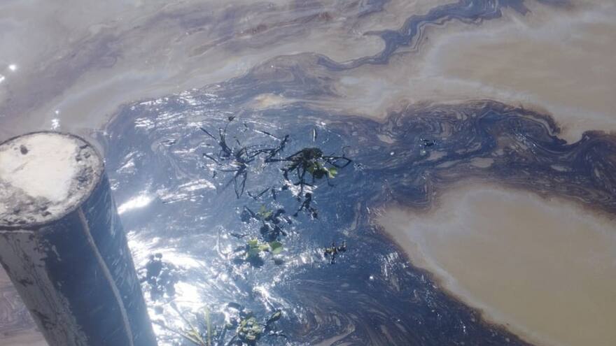 Triple A retoma bombeo de agua tras superar emergencia por mancha de aceite