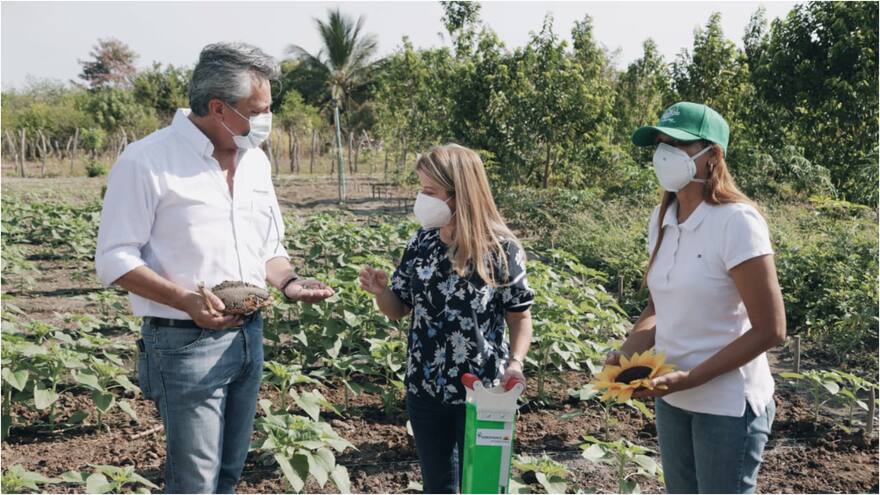 Gobernación entregó 2.325 toneladas de alimento y forraje para ganaderos