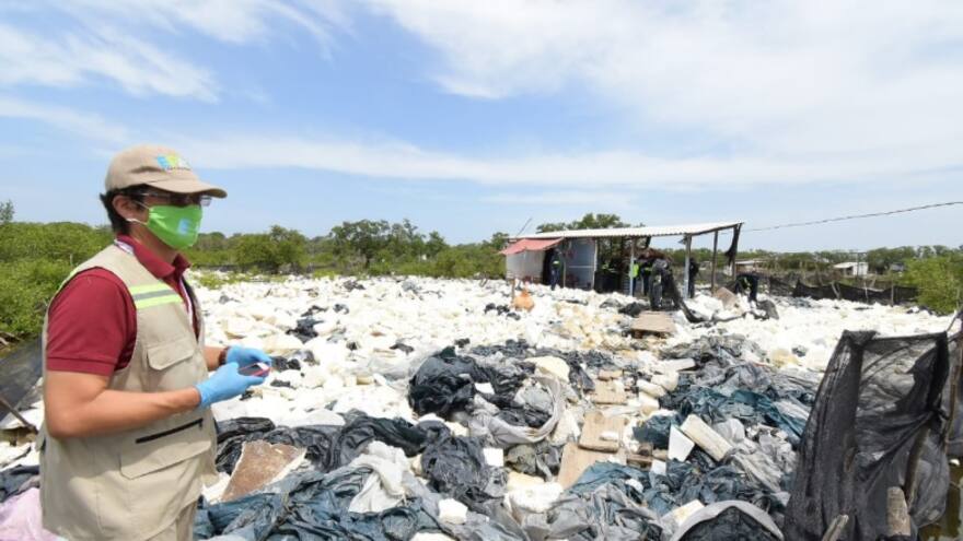 Alertan sobre ‘Cartel del escombro’ que rellena zonas de manglar en Cartagena