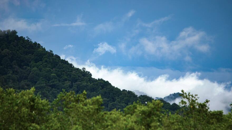 Darién chocoano fue declarado reserva de biósfera por la Unesco