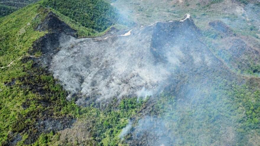 Incendio forestal en parque The Peak dejó 12 hectáreas afectadas: Ungrd
