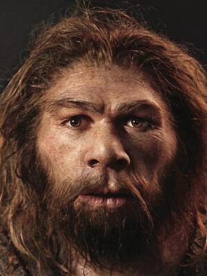 Los simios del cambio… | Columna de Ricardo Plata Cepeda